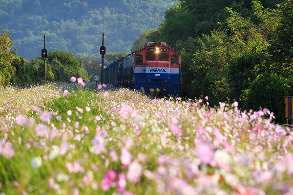 클립아트코리아