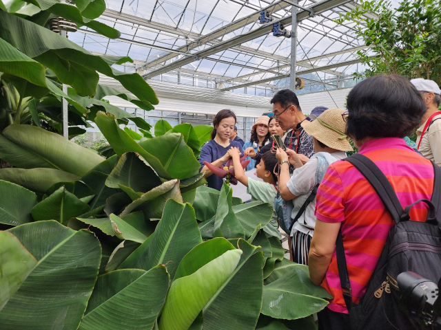 금산군 농업환경체험관 프로그램 참여 관람객 사진=금산군
