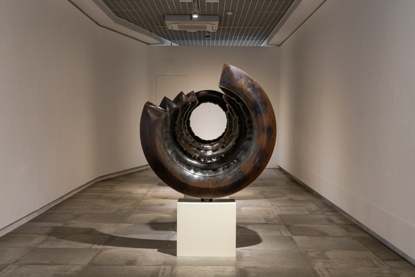 김태인 작가 작품 ‘우연한 팽창’