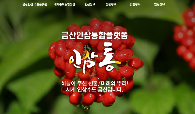 금산군은 금산인삼통합플랫폼 ‘인삼통’ 홈페이지를 전면 개편하고 인삼산업 디지털 플랫폼으로 새출발 한다. 자료=금산군