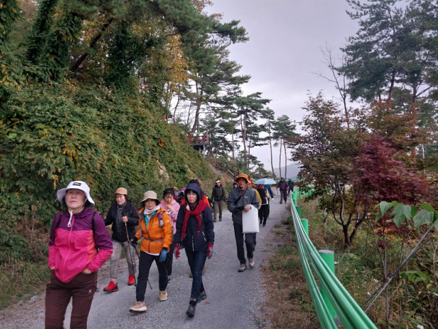 보은군 제7회 속리산 둘레길 걷기 축제가 오는 8일 보은군 속리산면 솔향공원 내 다목적 잔디광장 일원에서 열린다.(사진/보은군 제공)