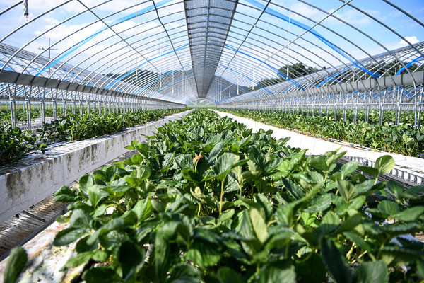 클립아트코리아 제공.