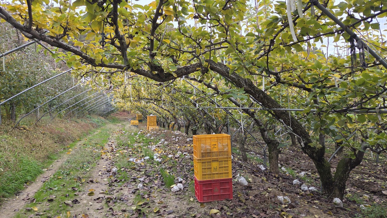 대전 유성구 계산동 소재 밭.사진=김중곤 기자