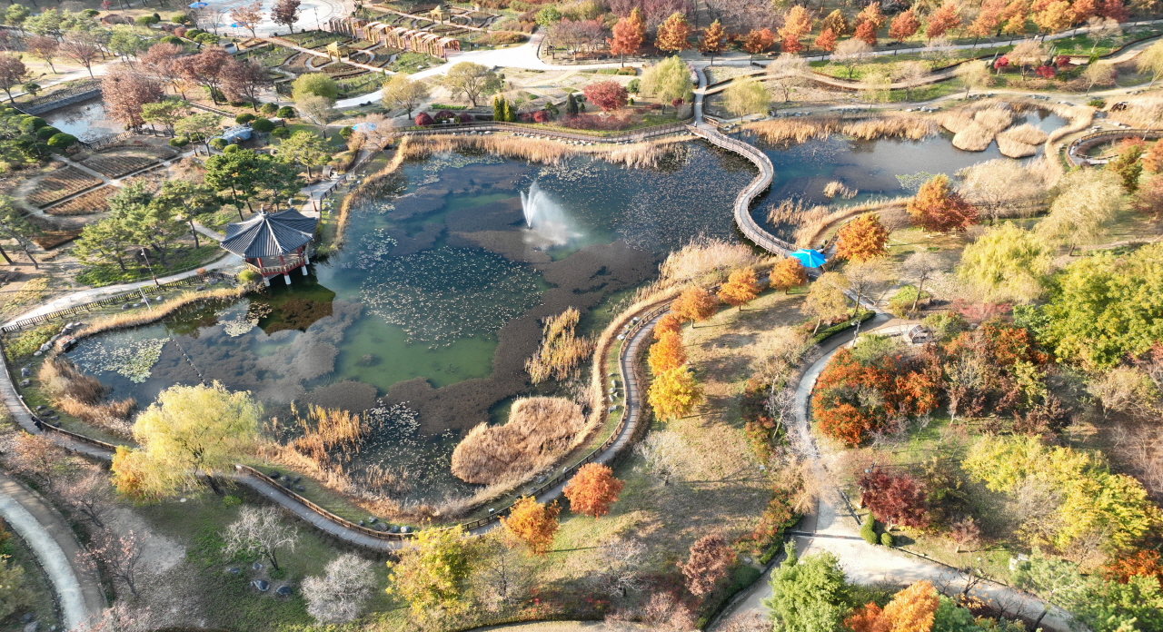 18일 대전 서구 한밭수목원에 빨갛고 노란 단풍이 물들어 늦가을 정취를 물씬 자아내고 있다. 김주형 기자 kjh2667_@cctoday.co.kr