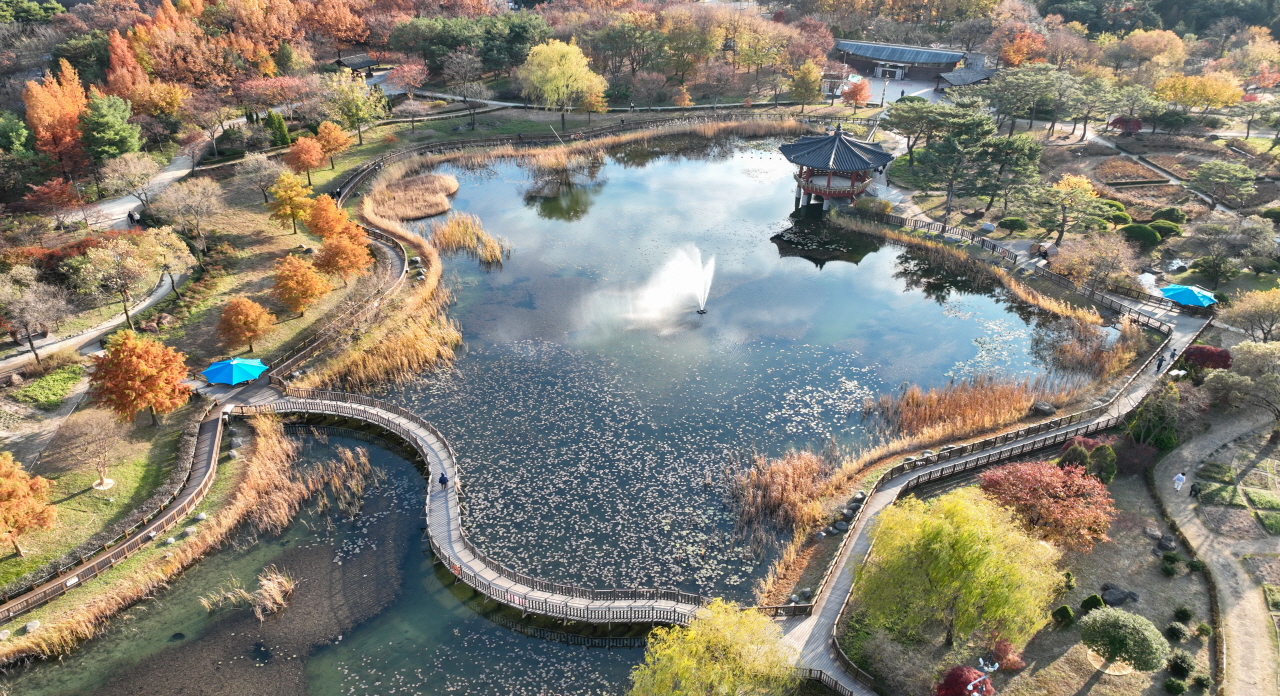 18일 대전 서구 한밭수목원에 빨갛고 노란 단풍이 물들어 늦가을 정취를 물씬 자아내고 있다. 김주형 기자 kjh2667_@cctoday.co.kr