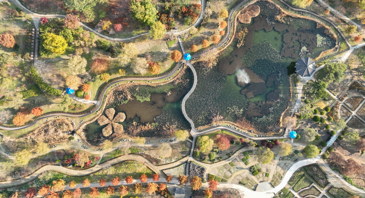 18일 대전 서구 한밭수목원에 빨갛고 노란 단풍이 물들어 늦가을 정취를 물씬 자아내고 있다. 김주형 기자 kjh2667_@cctoday.co.kr