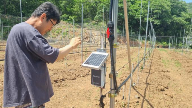 단양지역 과수농가에 설치된 통합센서.단양군 제공