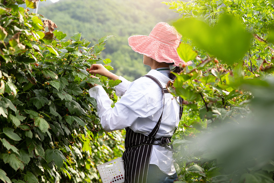 농업. 클립아트코리아 제공.