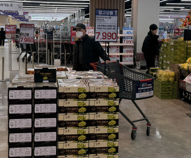 영동군은 지역 농가의 안정적인 판로 마련과 영동 샤인머스캣의 우수성을 널리 알리기 위해 올해 출범한 영동군농협조합공동사업법인과 협력해 대형 유통매장 할인 행사를 기획했다.(사진/영동군 제공)