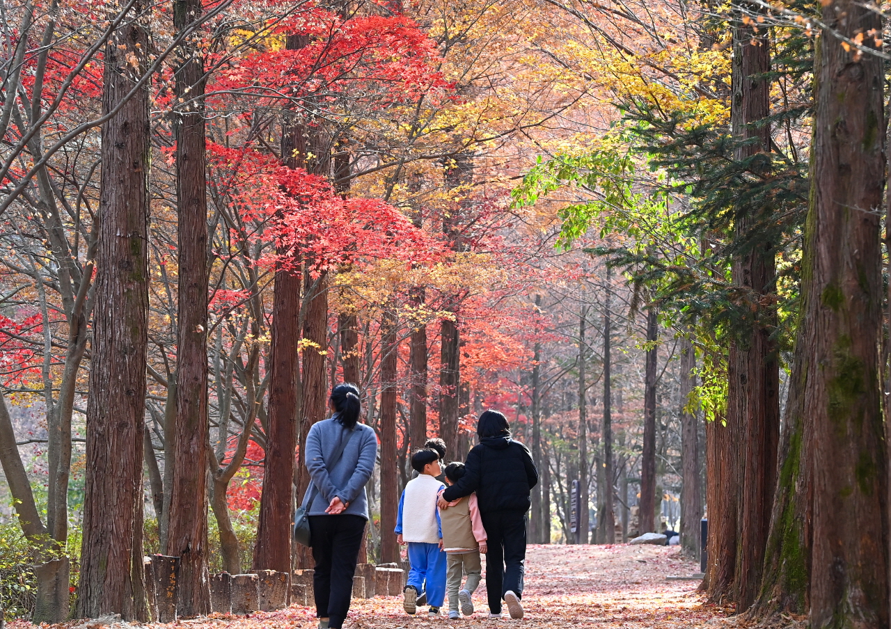 23일 휴일을 맞아 대전 동구 상소동 산림욕장을 찾은 시민들이 마지막 가을 산책을 즐기고 있다. 김주형 기자 kjh2667_@cctoday.co.kr