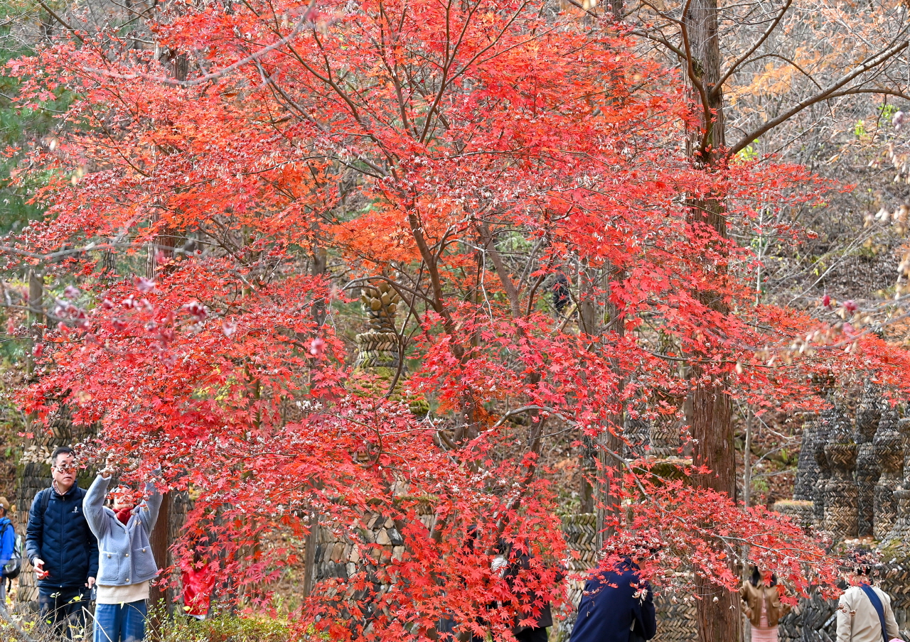 23일 휴일을 맞아 대전 동구 상소동 산림욕장을 찾은 시민들이 마지막 가을 산책을 즐기고 있다. 김주형 기자 kjh2667_@cctoday.co.kr