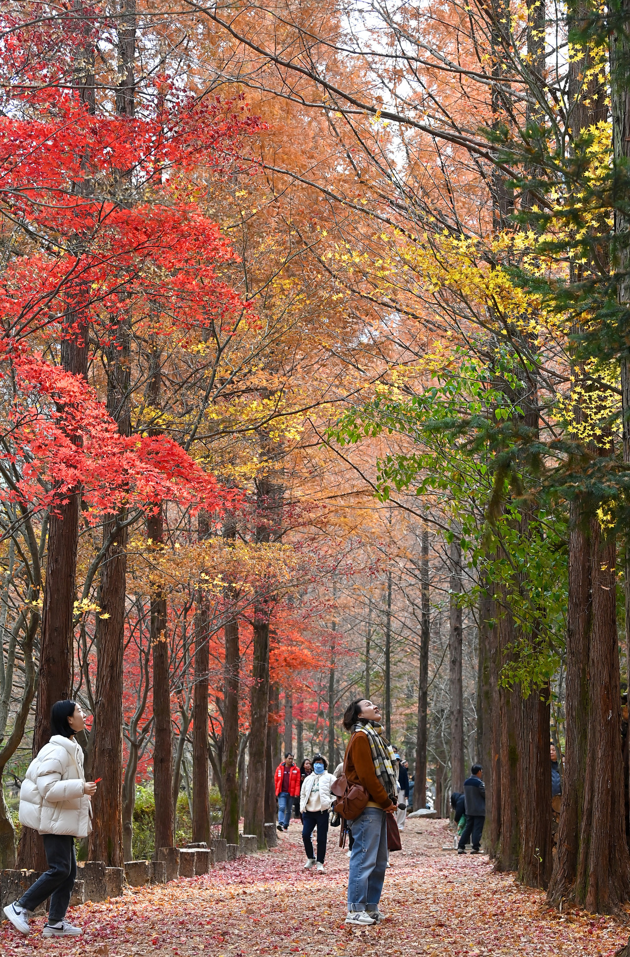 23일 휴일을 맞아 대전 동구 상소동 산림욕장을 찾은 시민들이 마지막 가을 산책을 즐기고 있다. 김주형 기자 kjh2667_@cctoday.co.kr