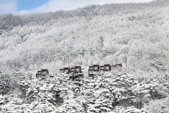 제천 포레스트 리솜 겨울 전경.리솜리조트 제공