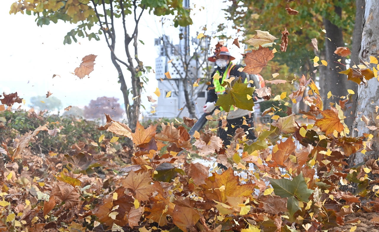 가을이 끝나가고 있는 가운데 24일 대전 서구 둔산동 인근에서 서구청 자원순환과 도시청결팀 직원이 도로에 쌓인 낙엽을 청소하고 있다. 김주형 기자 kjh2667_@cctoday.co.kr
