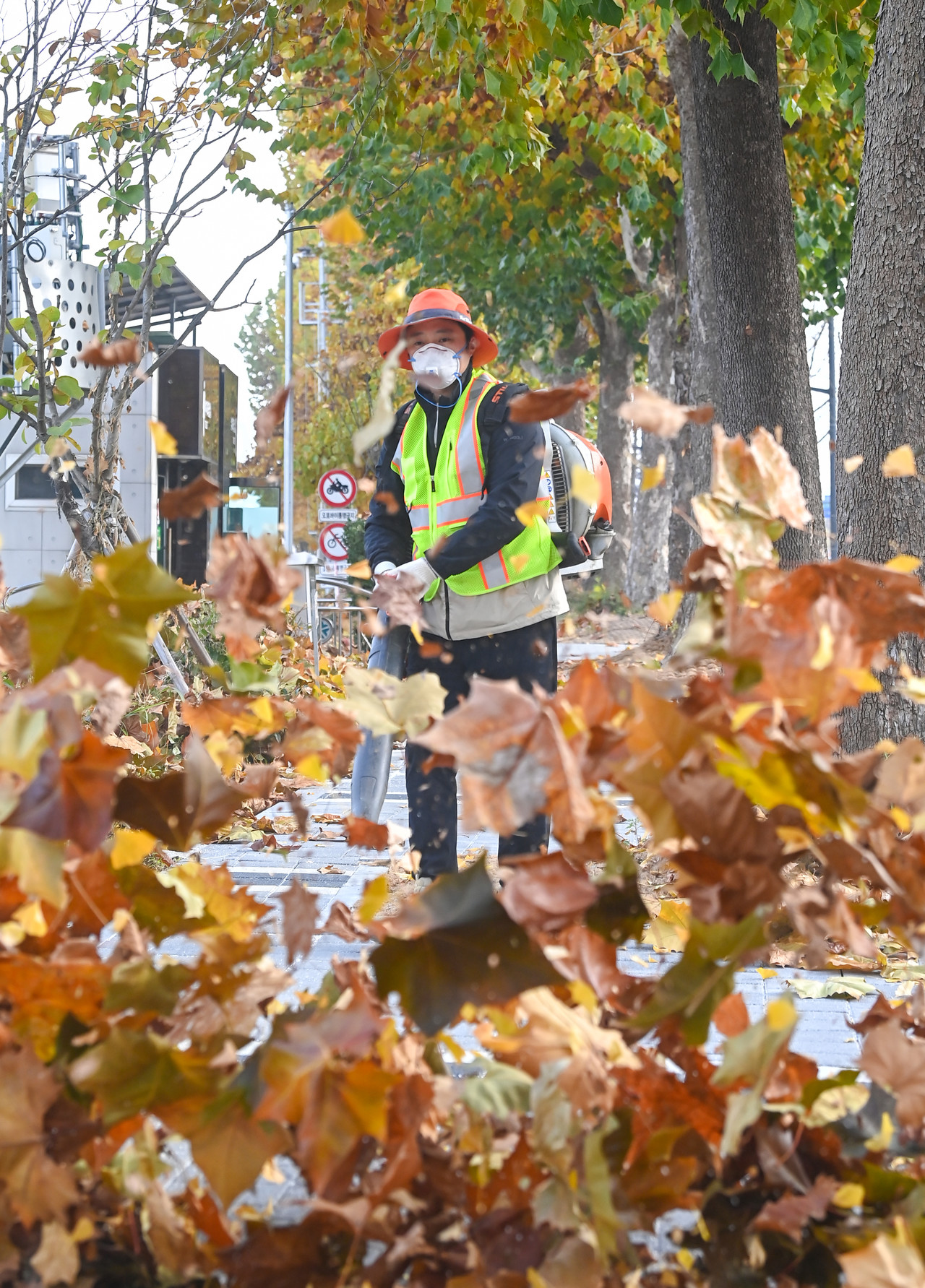 가을이 끝나가고 있는 가운데 24일 대전 서구 둔산동 인근에서 서구청 자원순환과 도시청결팀 직원이 도로에 쌓인 낙엽을 청소하고 있다. 김주형 기자 kjh2667_@cctoday.co.kr
